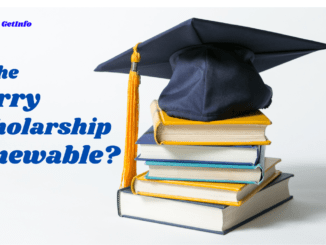 Is The Terry Foundation Scholarship Renewable?