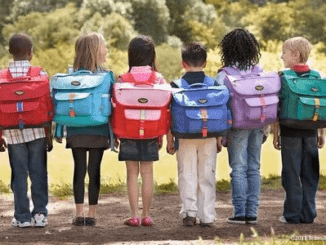 what school bags are in fashion? In 2024, school bags have blended styles. Bold and vibrant colors with neon shades and pastels are popular.