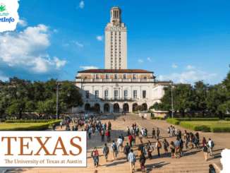 This is an image for showing the University of Texas Scholarships